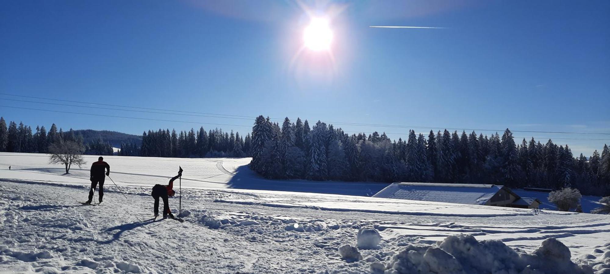 Outdoor & Relax Blackforest Neukirch  Bagian luar foto