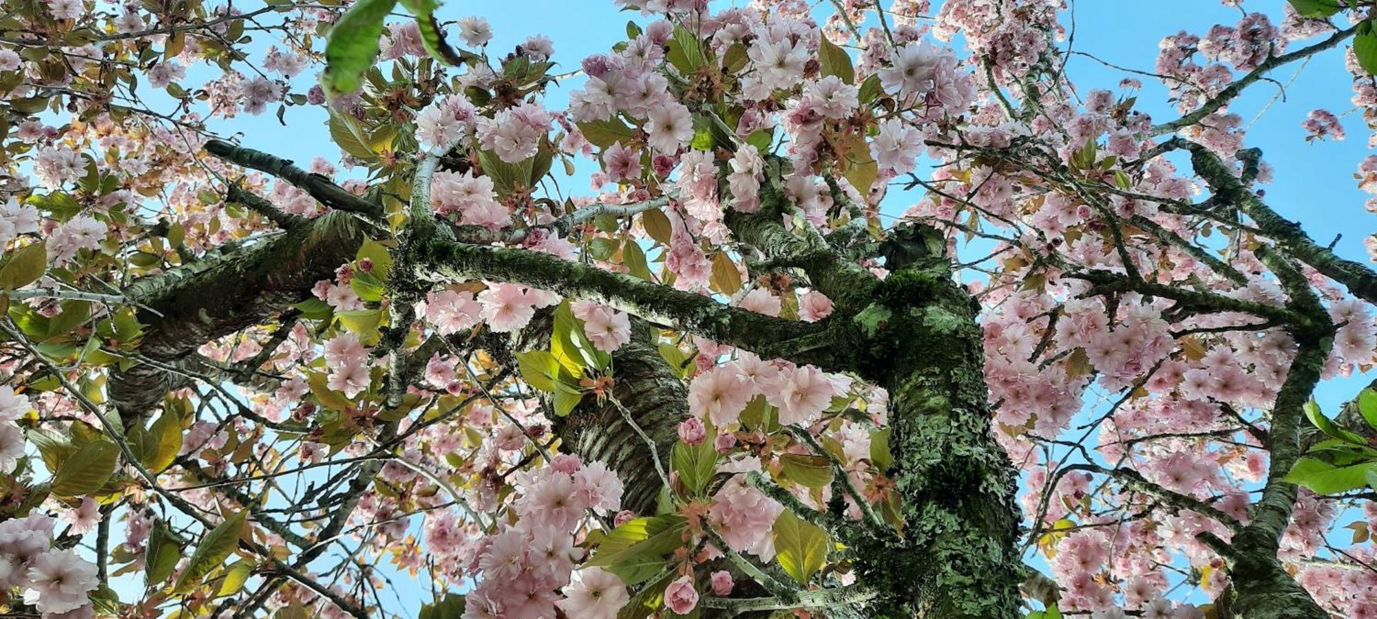 Outdoor & Relax Blackforest Neukirch  Bagian luar foto