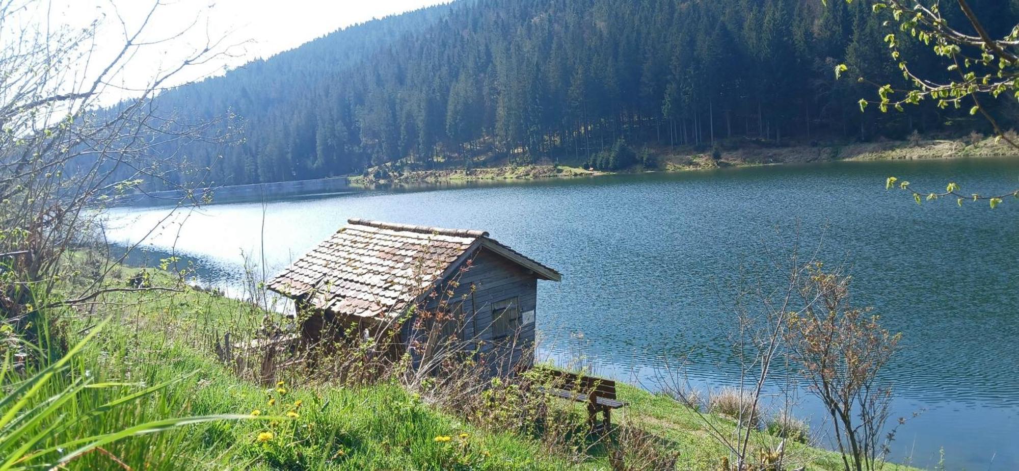 Outdoor & Relax Blackforest Neukirch  Bagian luar foto
