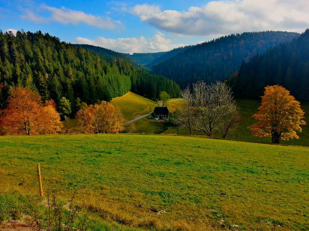 Outdoor & Relax Blackforest Neukirch  Bagian luar foto