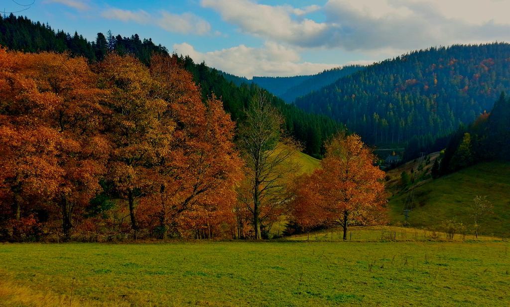 Outdoor & Relax Blackforest Neukirch  Bagian luar foto
