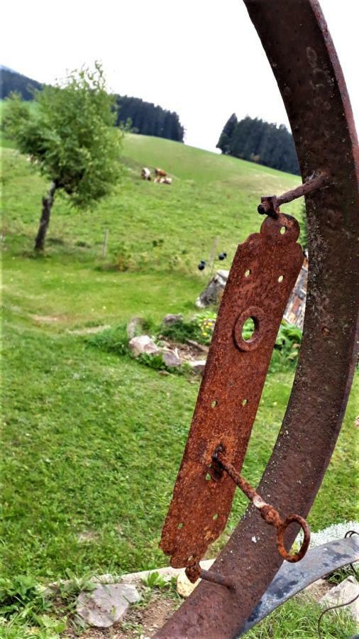 Outdoor & Relax Blackforest Neukirch  Bagian luar foto